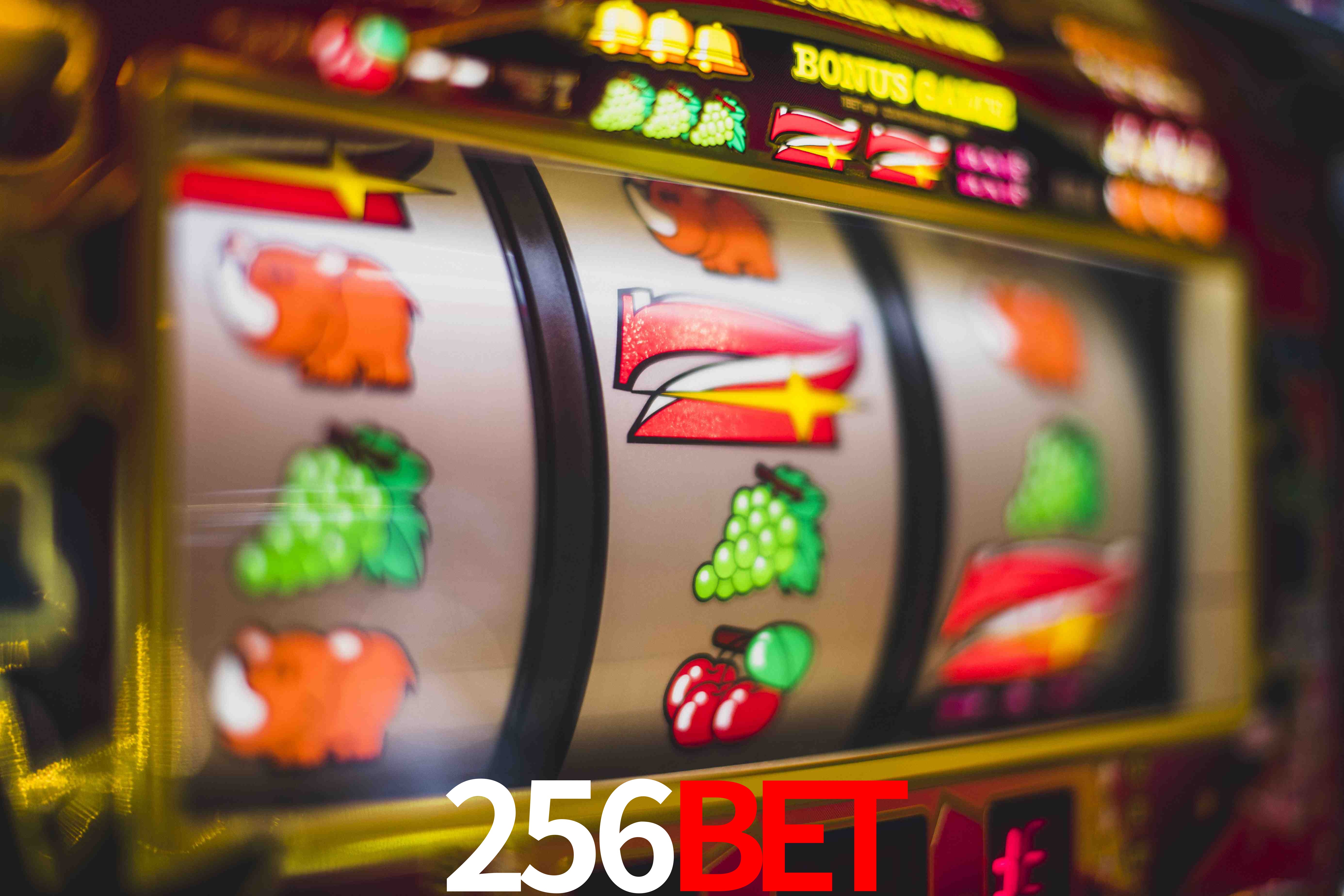 Aviator Game 256bet