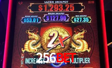 VIP Casino 256bet